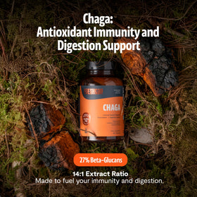 Capsules de Chaga FreshCap sur une surface blanche