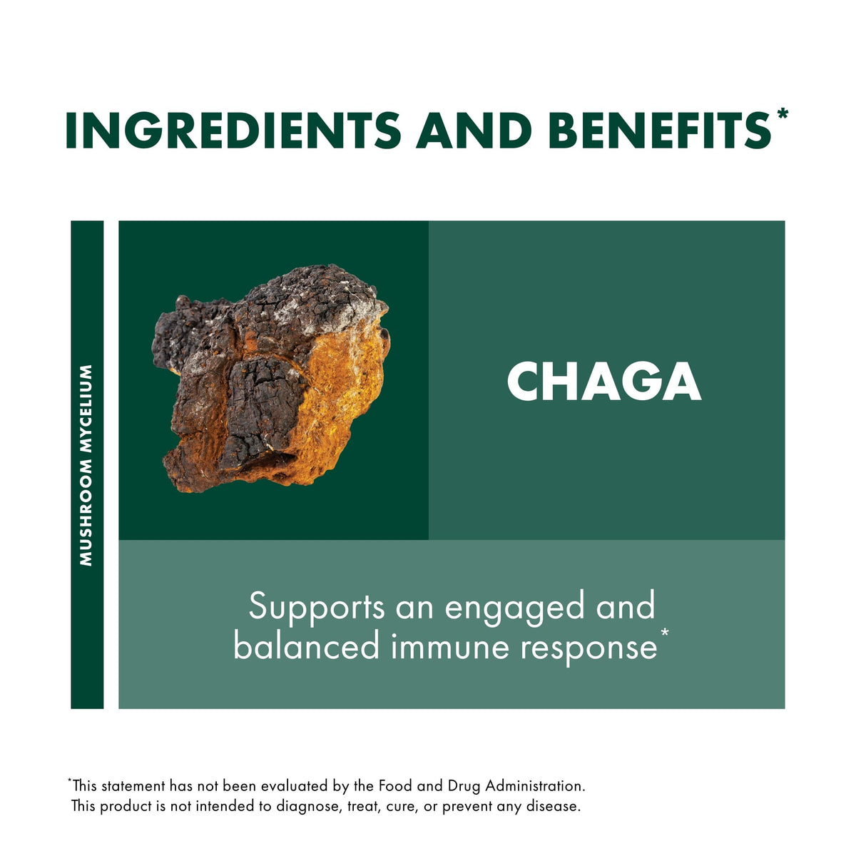 Capsules de Chaga Host Defense sur une table avec des herbes