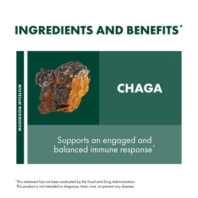 Capsules de Chaga Host Defense sur une table avec des herbes