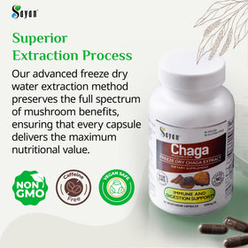Capsules de Chaga Sayan dans un environnement naturel