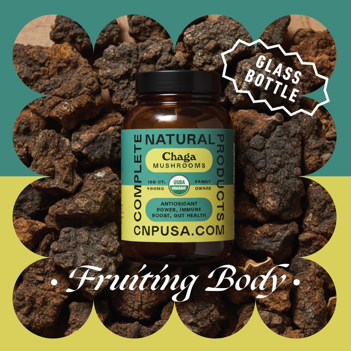 Capsules de champignon Chaga bio avec des ingrédients naturels en arrière-plan