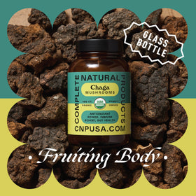 Capsules de champignon Chaga bio avec des ingrédients naturels en arrière-plan
