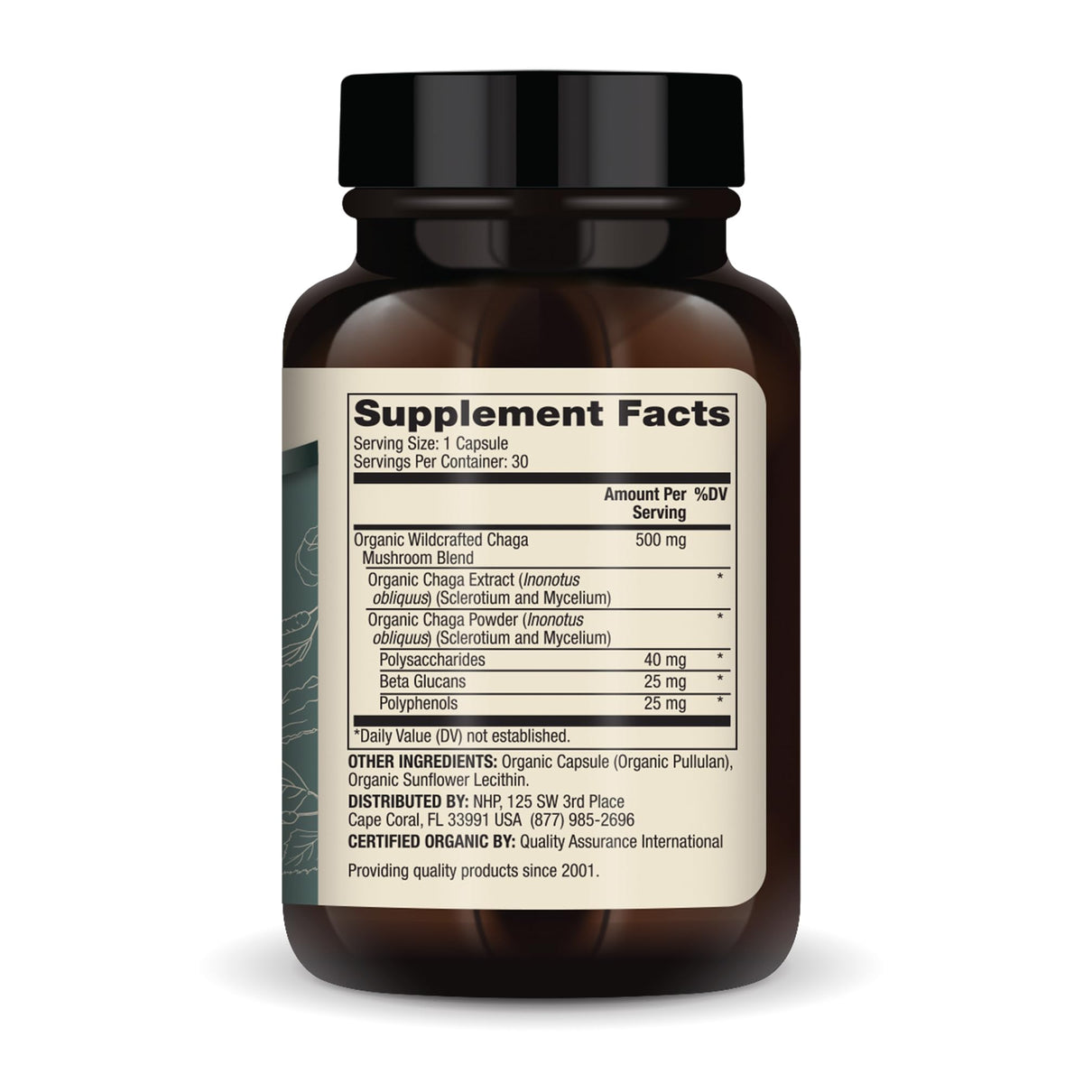 Capsules de Champignon Chaga Bio Dr. Mercola sur fond blanc