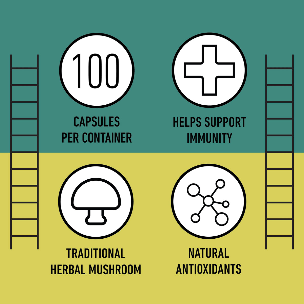 Capsules de champignon Chaga bio et verre d'eau pour le dosage