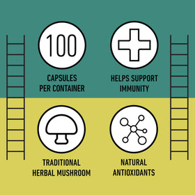 Capsules de champignon Chaga bio et verre d'eau pour le dosage