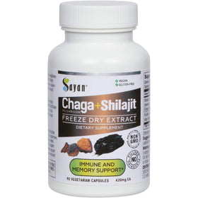 Capsules de champignon Chaga Sayan en bouteille vue de face