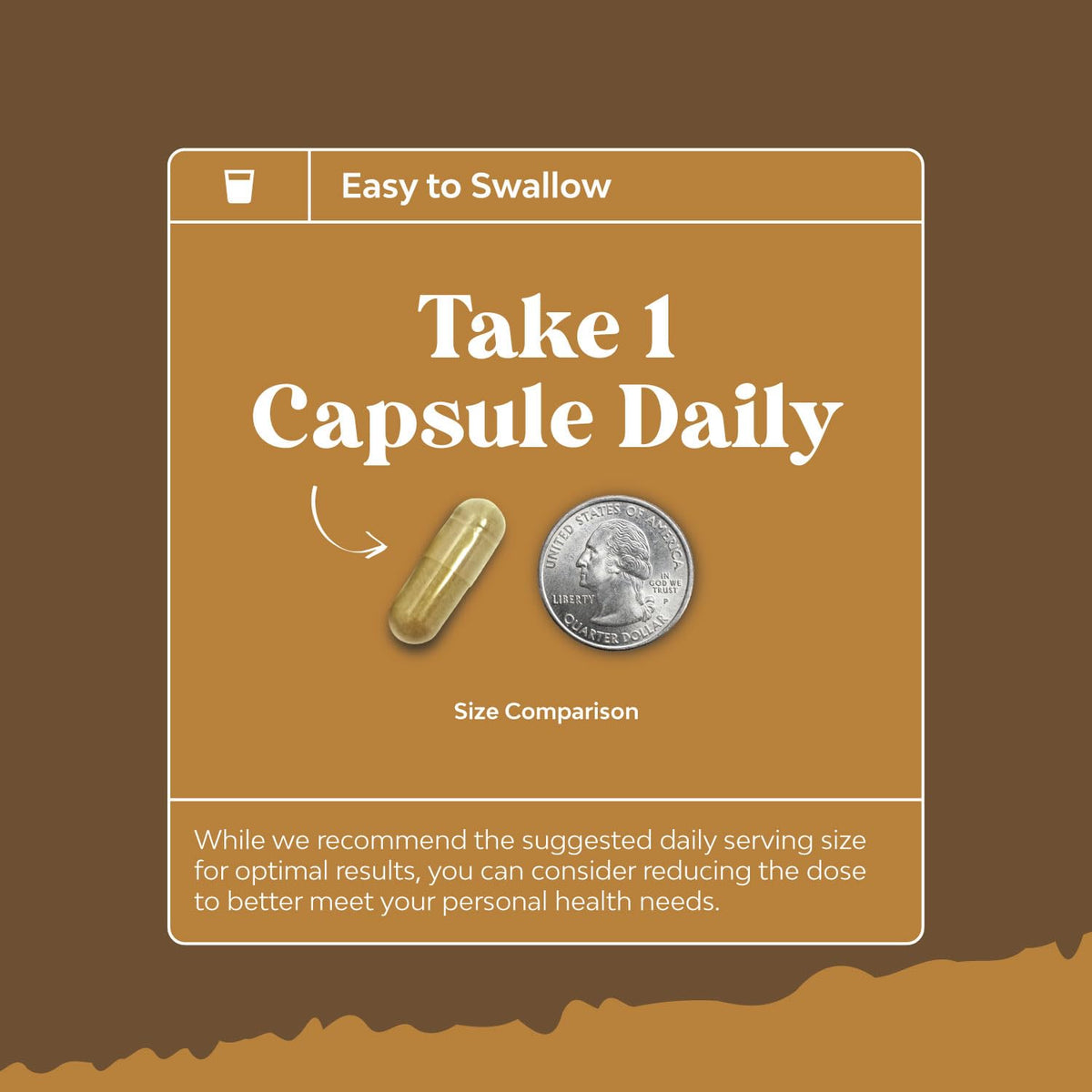 Capsules de champignon Lion's Mane dans une main