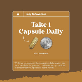 Capsules de champignon Lion's Mane dans une main