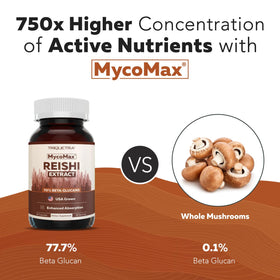 Capsules de champignon Reishi bio sur fond neutre