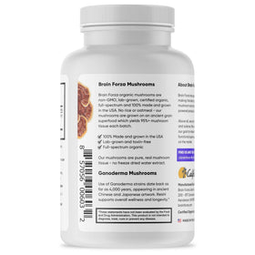 Capsules de champignon Reishi Rouge bio Brain Forza sur une surface en bois