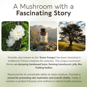 Capsules de champignon Tremella bio à côté d'un verre d'eau