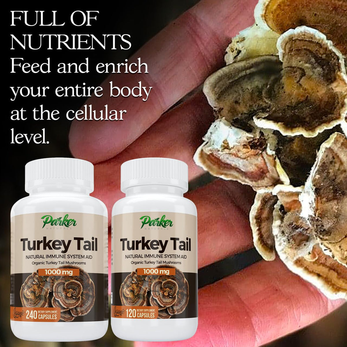 Capsules de champignon Turkey Tail Parker Naturals - vue de côté