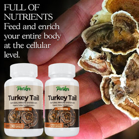 Capsules de champignon Turkey Tail Parker Naturals - vue de côté