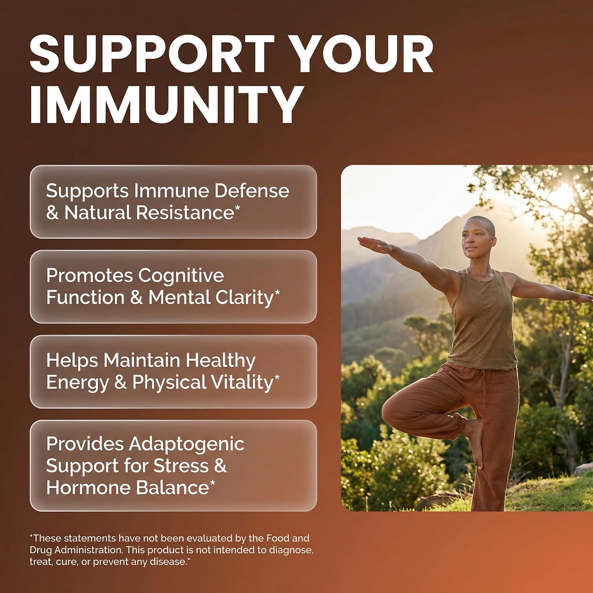 Capsules de champignons bio Clean Nutraceuticals, présentation du produit