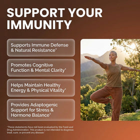 Capsules de champignons bio Clean Nutraceuticals, présentation du produit