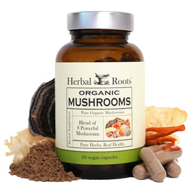 Capsules de champignons Herbal Roots 100% bio, vue de face