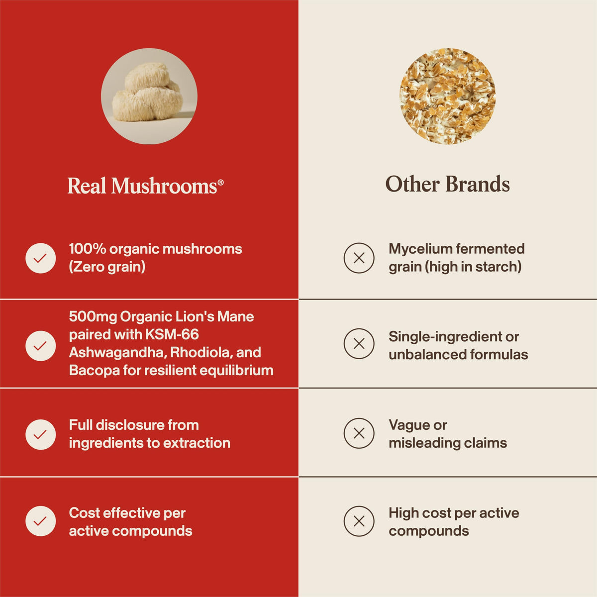 Capsules de champignons Lion’s Mane sur une table