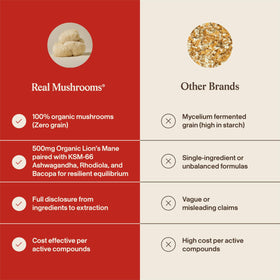 Capsules de champignons Lion’s Mane sur une table