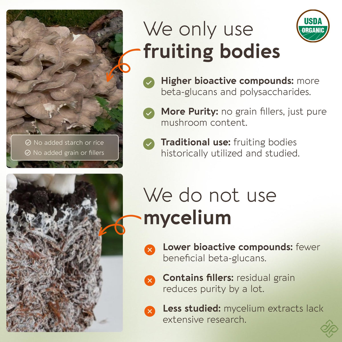 Capsules de champignons Maitake sur une surface en bois