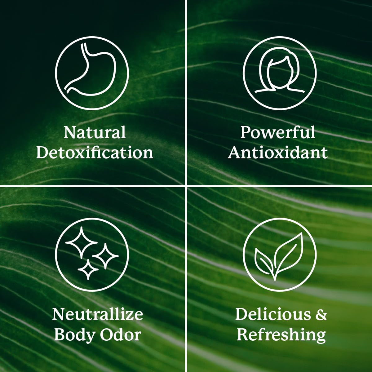 Capsules de chlorophylle Nature's Sunshine dans un bol