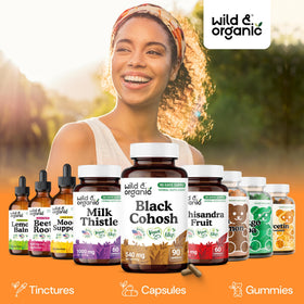 Capsules de Cimicifuga dans une main