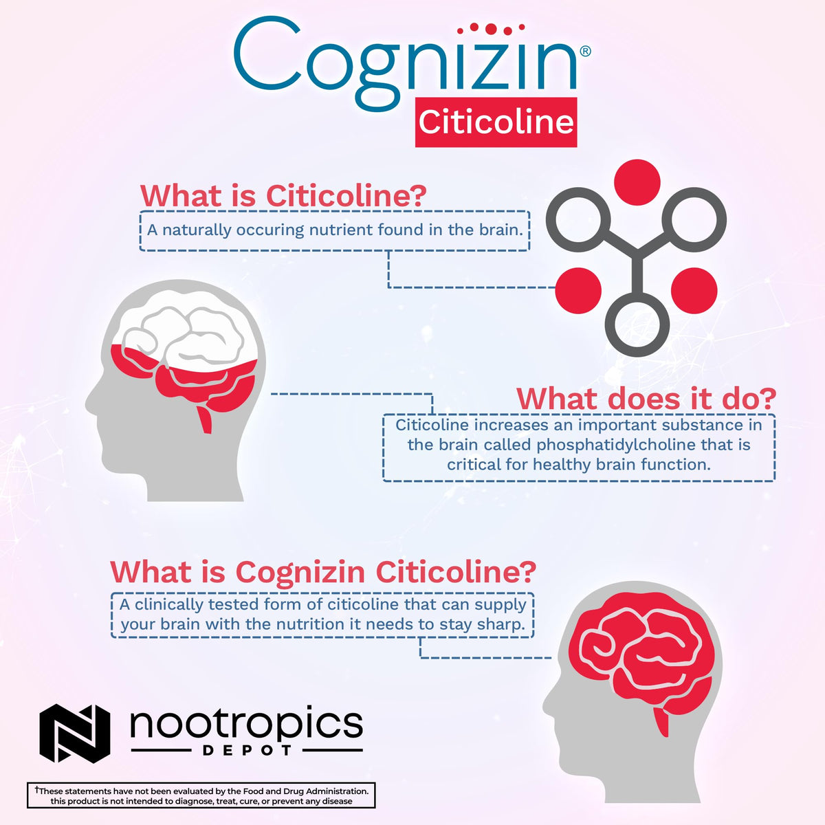 Capsules de Citicoline Nootropics Depot sur une table
