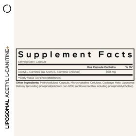 Capsules de Codeage Acétyl-L-Carnitine+ 500mg sur une surface blanche