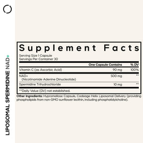 Capsules de Codeage Liposomal Spermidine NAD+ sur fond blanc