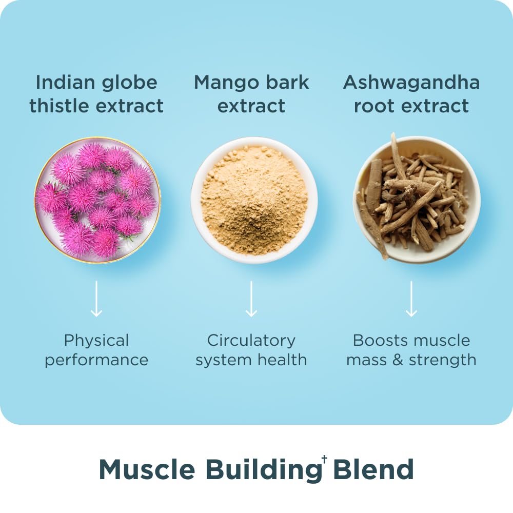 Capsules de collagène multi avancé d'Ancient Nutrition sur fond blanc