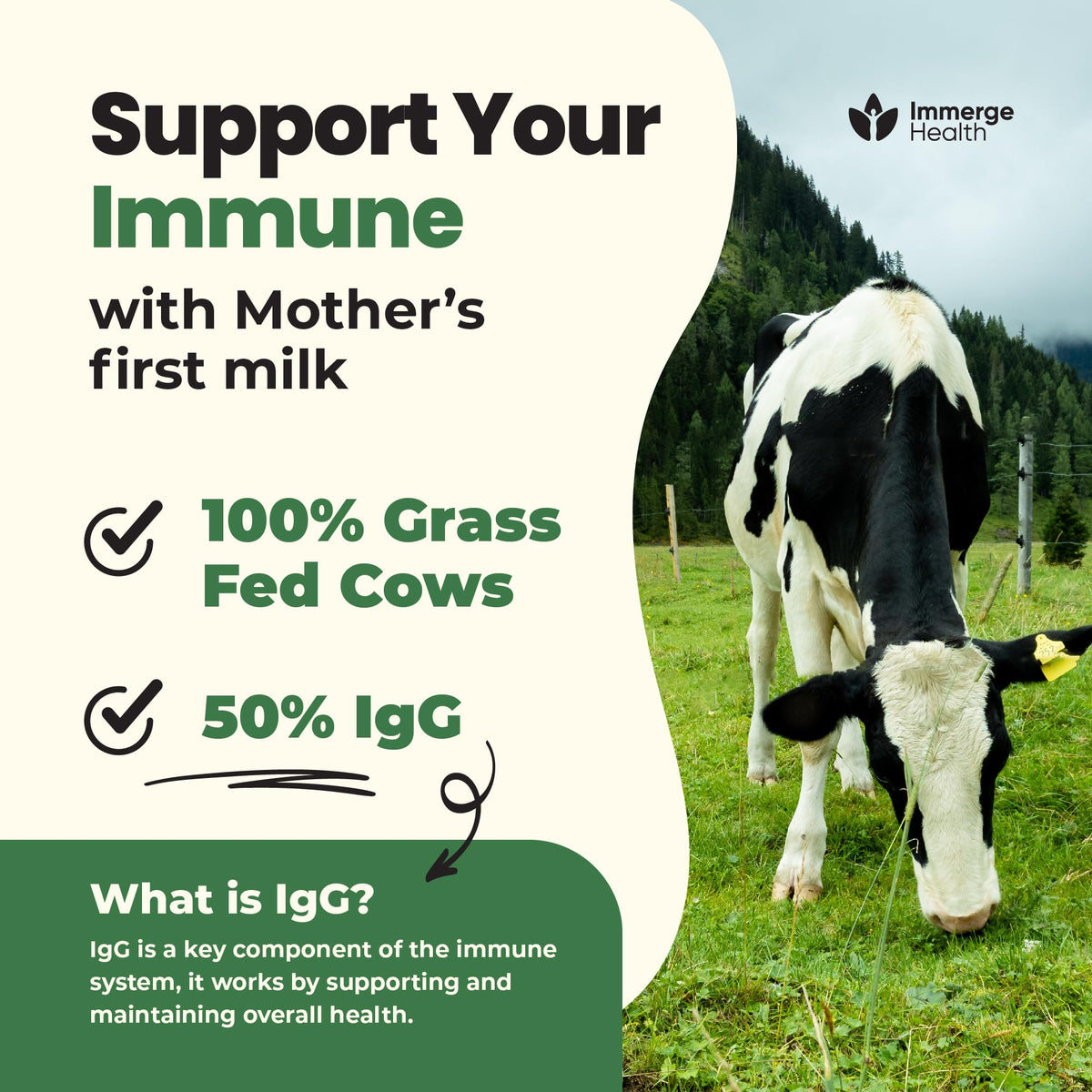 Capsules de colostrum d'ImmergeHealth.com dans une main