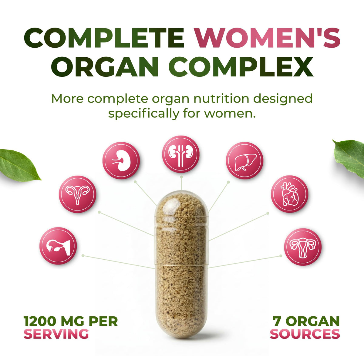 Capsules de complément alimentaire ForestLeaf Organes de Boeuf, vue de près