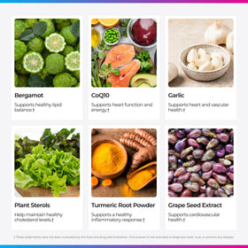 Capsules de complément cholestérol Livingood Daily dans une cuillère