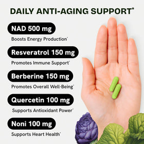 Capsules de complément NAD+ avec Resvératrol et Berbérine