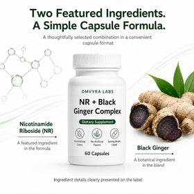 Capsules de Complexe de Gingembre Noir d'Omvyra Labs sur fond blanc