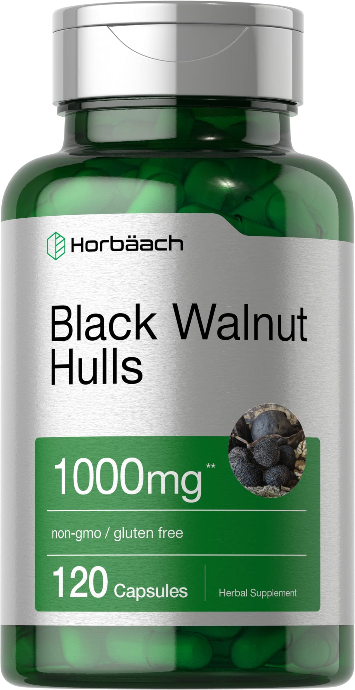 Capsules de coques de noix noires de Horbäach, vue de face