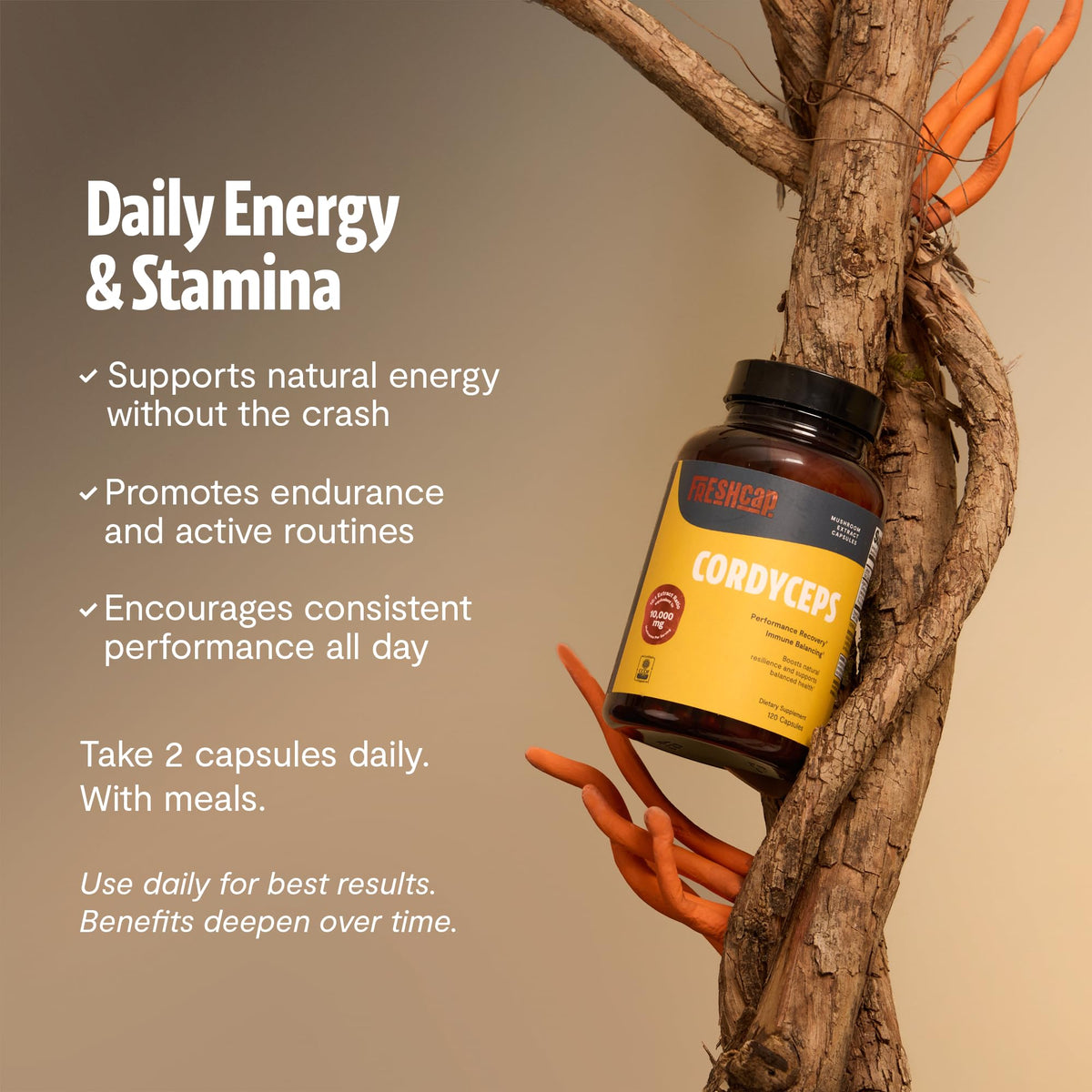 Capsules de cordyceps FreshCap sur une cuillère en bois