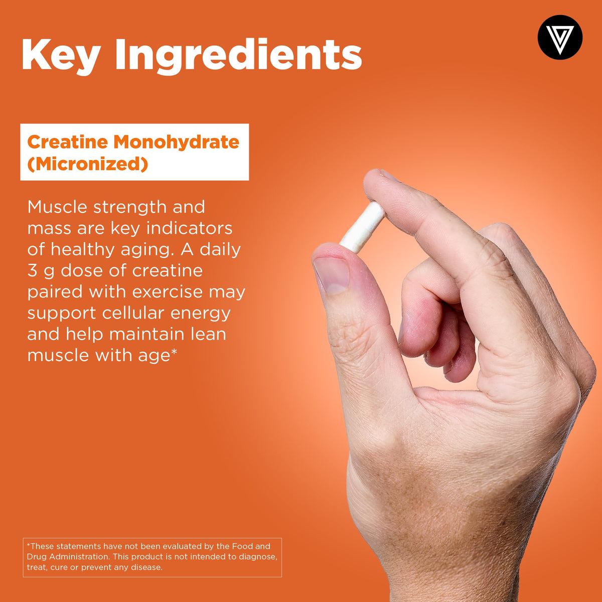Capsules de créatine Vital Vitamins sur fond blanc