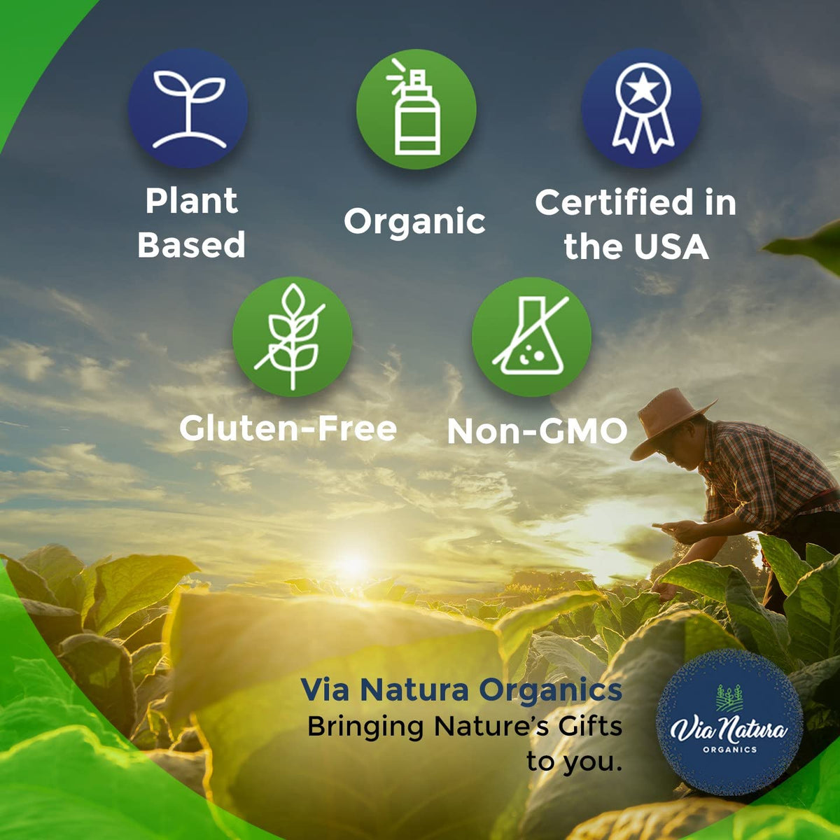 Capsules de curcuma bio Via Natura Organics sur une surface en bois