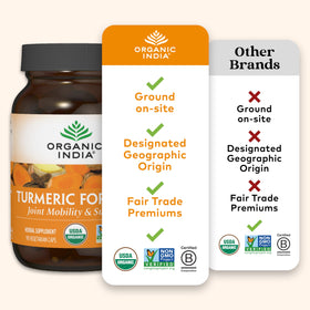 Capsules de Curcuma Curcuma sur une cuillère en bois