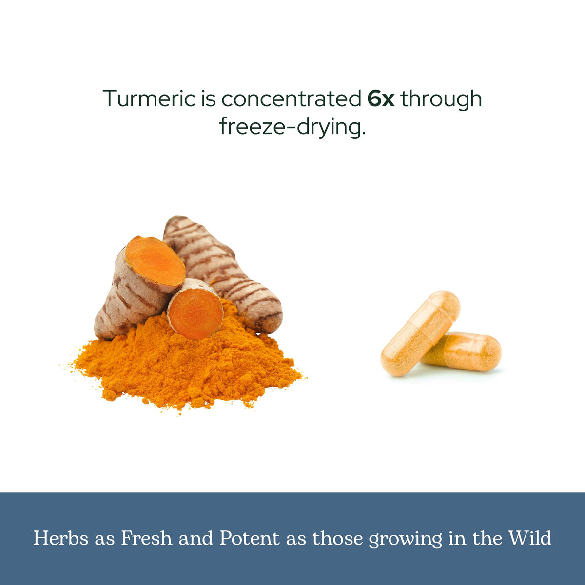 Capsules de curcuma sur un fond blanc