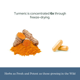 Capsules de curcuma sur un fond blanc