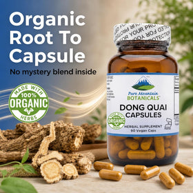 Capsules de Dong Quai sur une surface en bois