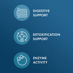 Capsules de Dr. Mercola Betaine HCL et Pepsine sur une table