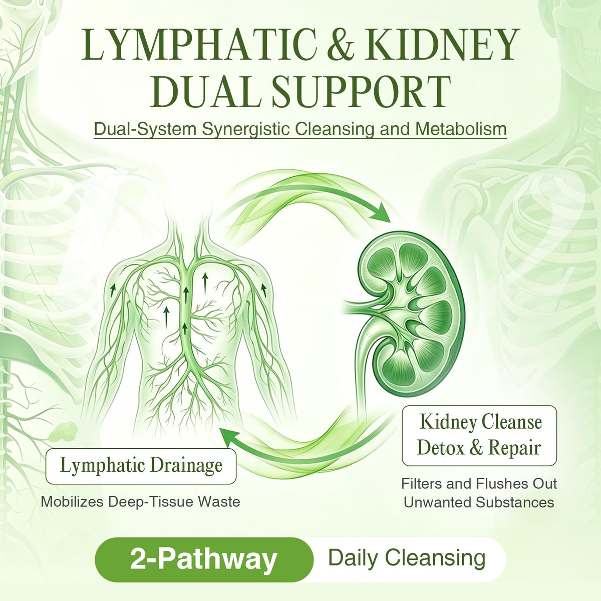 Capsules de drainage lymphatique GREENPEOPLE sur un fond blanc