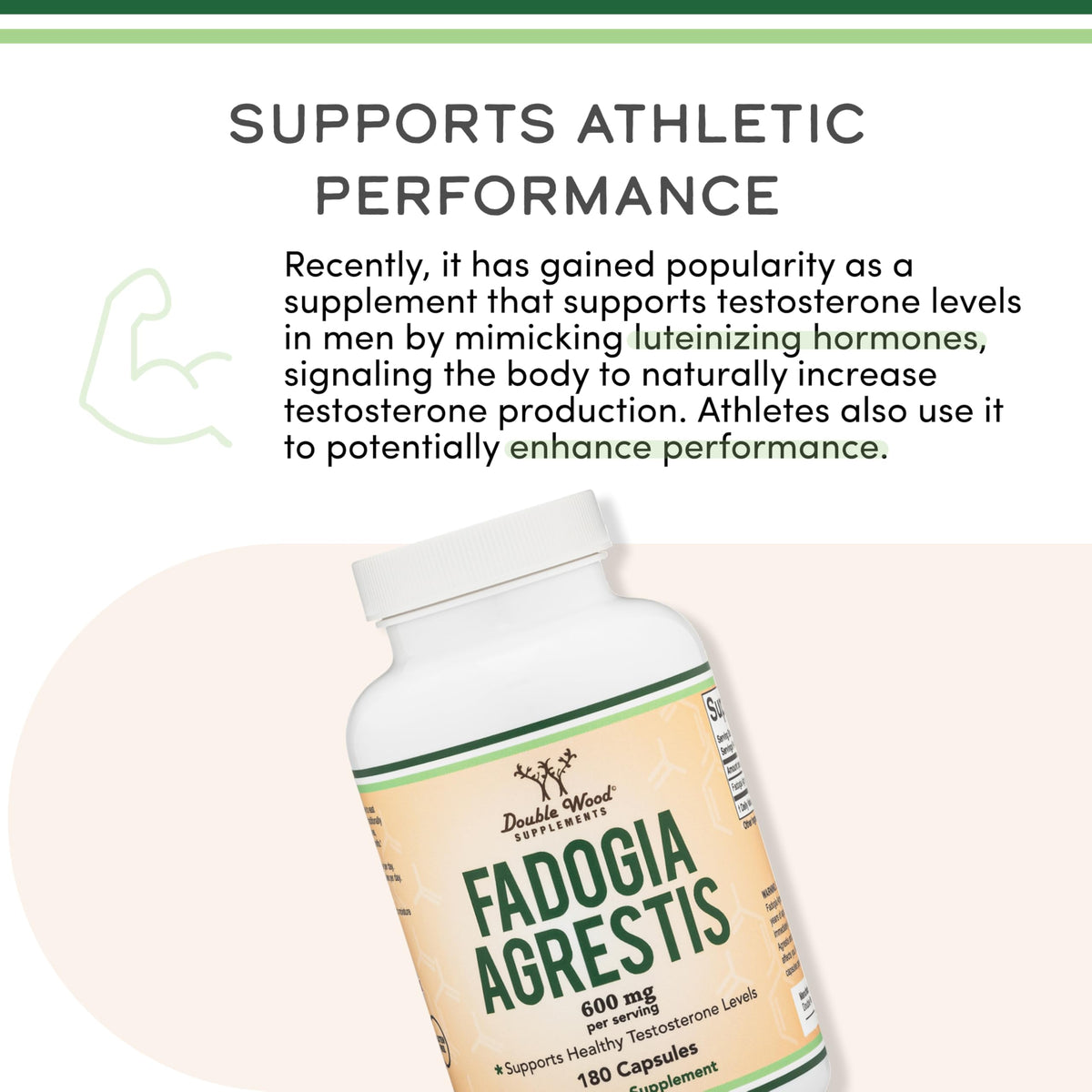Capsules de Fadogia Agrestis 600mg de Double Wood Supplements sur fond blanc