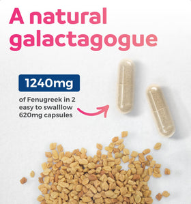 Capsules de Fenugrec Bio PURE CO sur une table