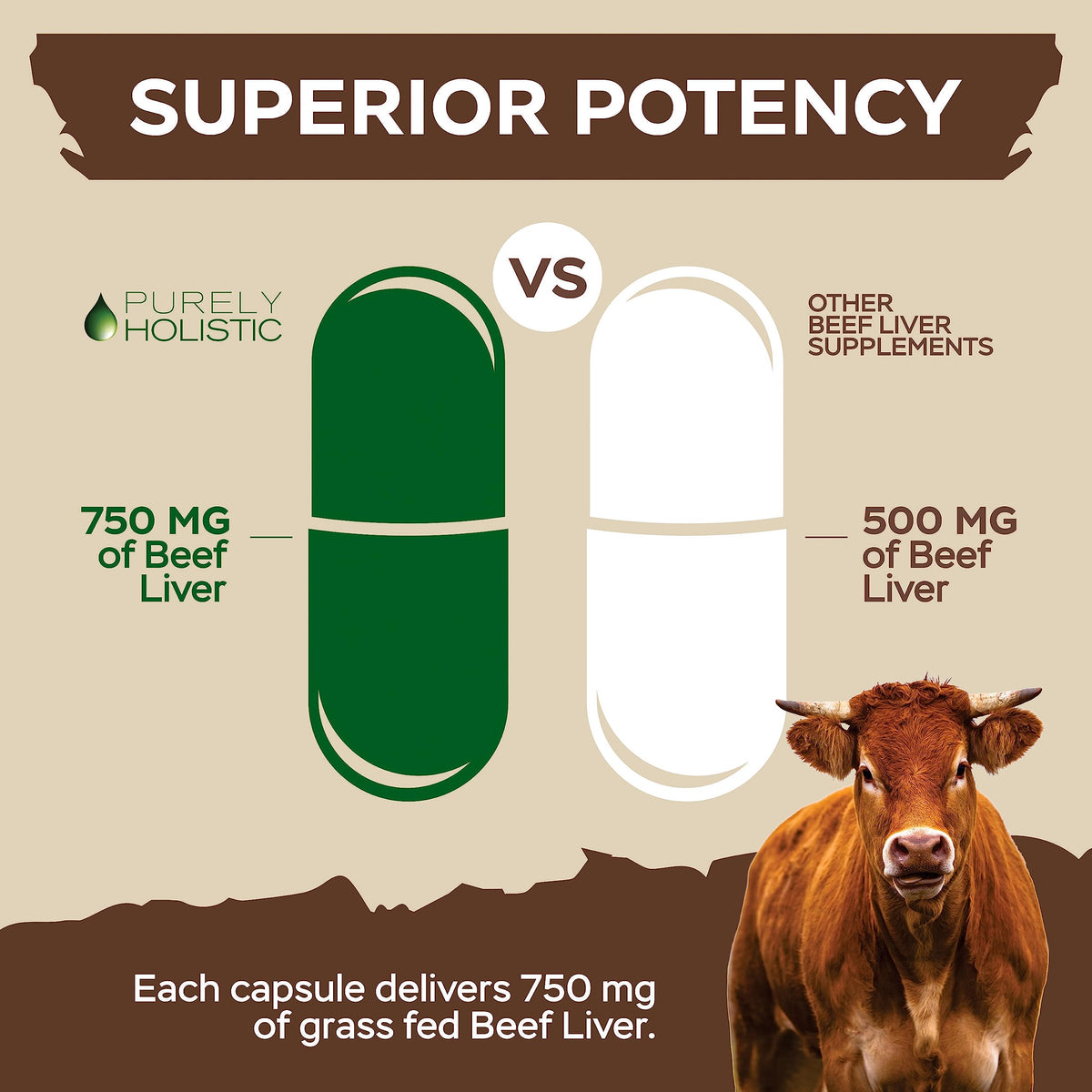 Capsules de foie de boeuf Purely Holistic dans une main