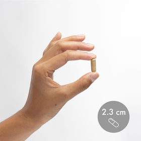 Capsules de Folate Méthylé Dr. Mercola avec verre d'eau