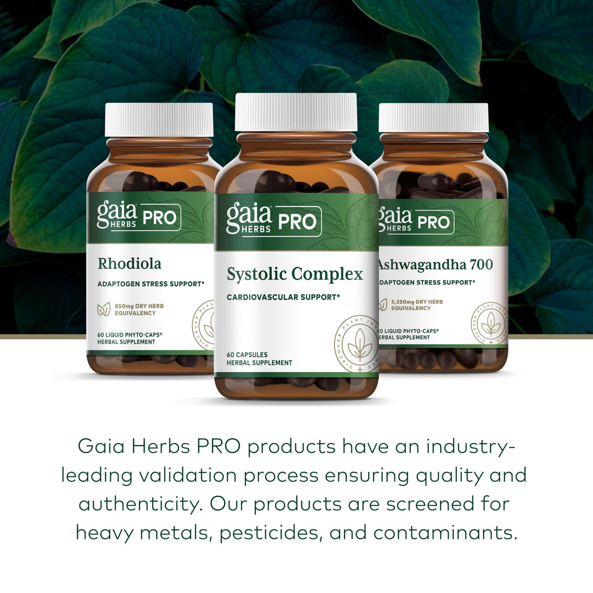 Capsules de Gaia Herbs PRO Systolic Complex dans une main