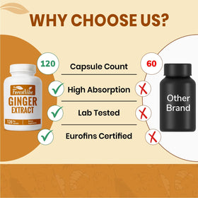 Capsules de gingembre ForestVibe avec une main tenant le flacon